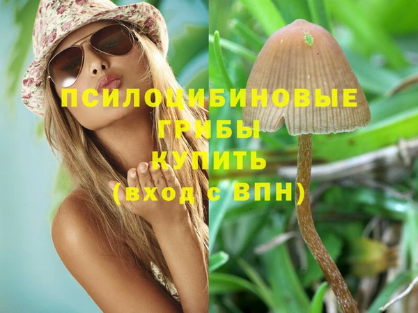 метамфетамин Богородицк